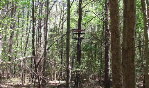 Photo of UNDER CONTRACT!  22 Acres of Residential and Recreational Land For Sale in Suffolk VA!