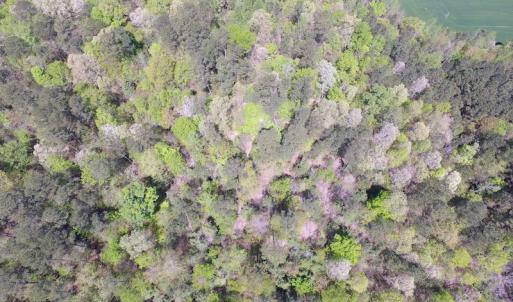 Photo of UNDER CONTRACT!  22 Acres of Residential and Recreational Land For Sale in Suffolk VA!