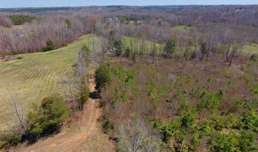 Photo of SOLD!!  42 Acres of Pasture and Timber Land For Sale in Caswell County NC!