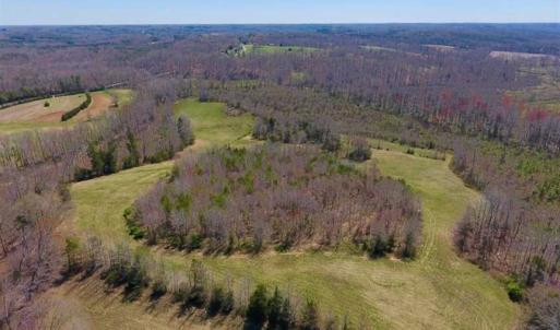 Photo of SOLD!!  42 Acres of Pasture and Timber Land For Sale in Caswell County NC!