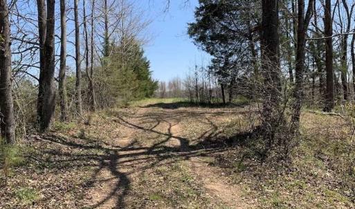 Photo of SOLD!!  42 Acres of Pasture and Timber Land For Sale in Caswell County NC!
