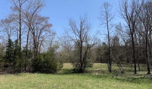 Photo of SOLD!!  42 Acres of Pasture and Timber Land For Sale in Caswell County NC!