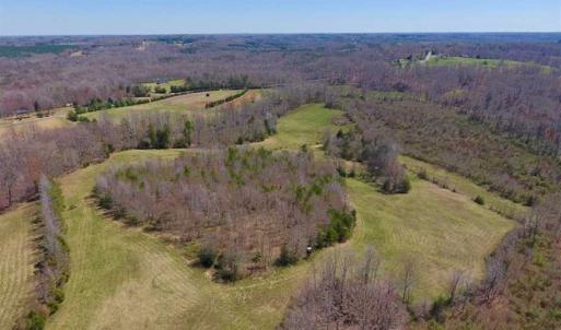 Photo of SOLD!!  42 Acres of Pasture and Timber Land For Sale in Caswell County NC!