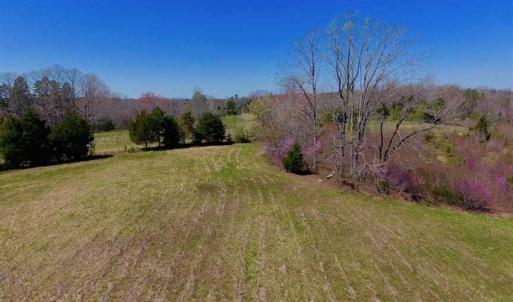 Photo of SOLD!!  42 Acres of Pasture and Timber Land For Sale in Caswell County NC!