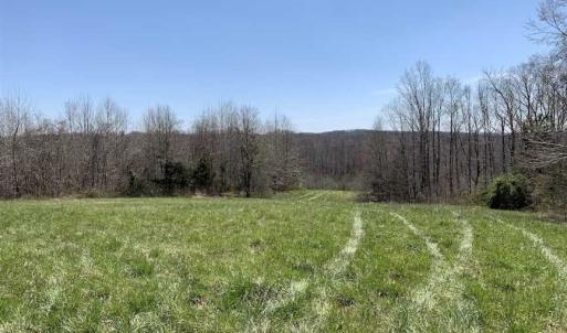 Photo of SOLD!!  42 Acres of Pasture and Timber Land For Sale in Caswell County NC!