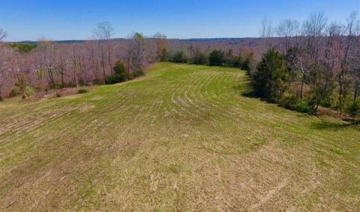 Photo of SOLD!!  42 Acres of Pasture and Timber Land For Sale in Caswell County NC!