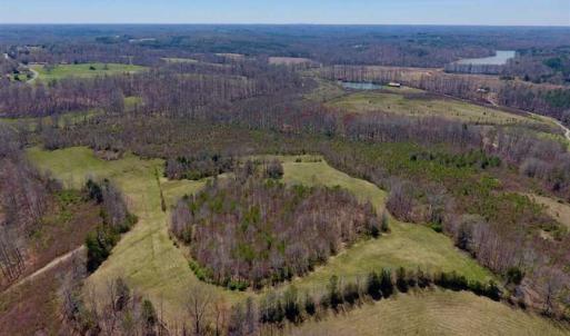 Photo of SOLD!!  42 Acres of Pasture and Timber Land For Sale in Caswell County NC!
