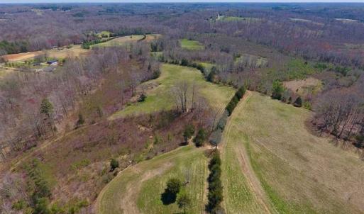 Photo of SOLD!!  42 Acres of Pasture and Timber Land For Sale in Caswell County NC!