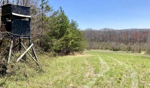 Photo of SOLD!!  42 Acres of Pasture and Timber Land For Sale in Caswell County NC!