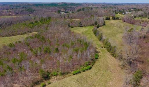 Photo of SOLD!!  42 Acres of Pasture and Timber Land For Sale in Caswell County NC!