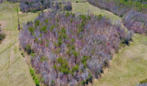 Photo of SOLD!!  42 Acres of Pasture and Timber Land For Sale in Caswell County NC!