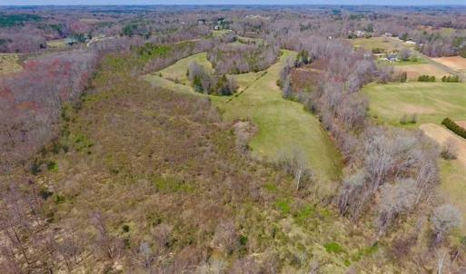 Photo of SOLD!!  42 Acres of Pasture and Timber Land For Sale in Caswell County NC!