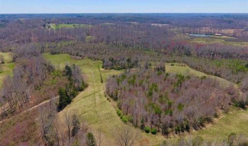 Photo of SOLD!!  42 Acres of Pasture and Timber Land For Sale in Caswell County NC!