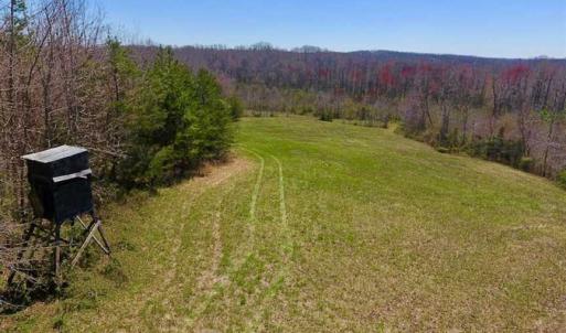 Photo of SOLD!!  42 Acres of Pasture and Timber Land For Sale in Caswell County NC!
