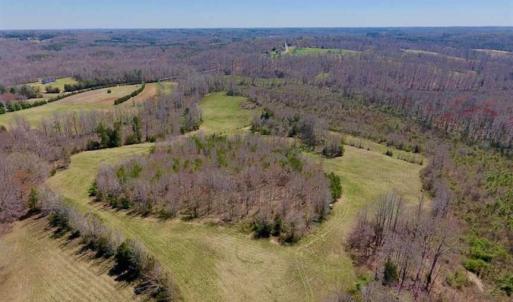 Photo of SOLD!!  42 Acres of Pasture and Timber Land For Sale in Caswell County NC!