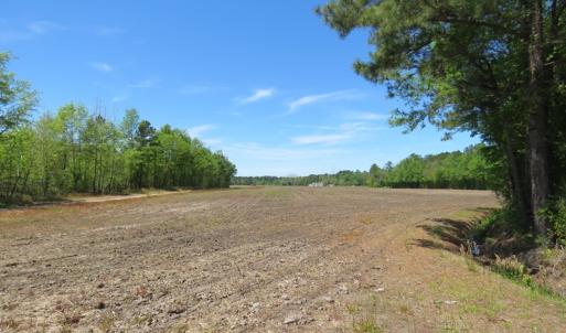 Photo of UNDER CONTRACT!  76 Acres of Farm and Timber Land For Sale in Robeson County NC!