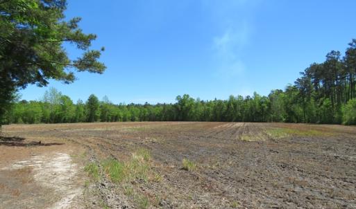 Photo of UNDER CONTRACT!  76 Acres of Farm and Timber Land For Sale in Robeson County NC!