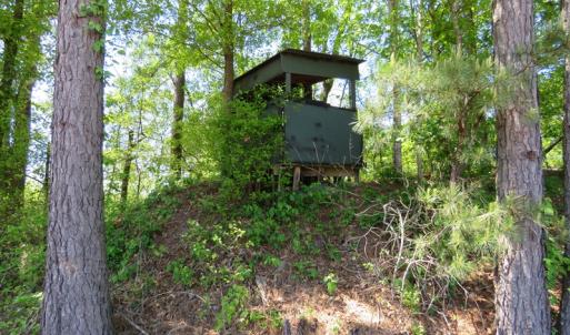 Photo of UNDER CONTRACT!  76 Acres of Farm and Timber Land For Sale in Robeson County NC!