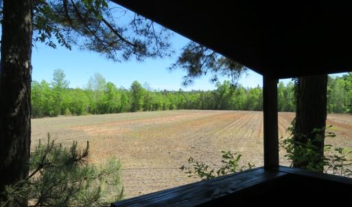 Photo of UNDER CONTRACT!  76 Acres of Farm and Timber Land For Sale in Robeson County NC!