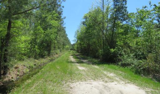 Photo of UNDER CONTRACT!  76 Acres of Farm and Timber Land For Sale in Robeson County NC!