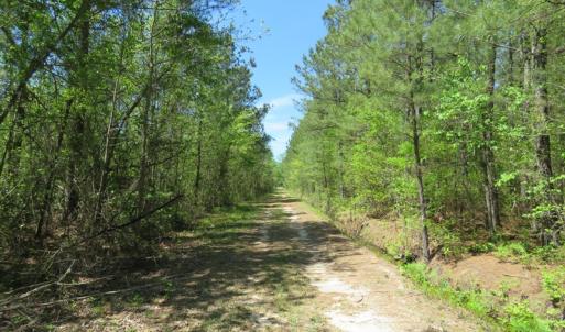 Photo of UNDER CONTRACT!  76 Acres of Farm and Timber Land For Sale in Robeson County NC!