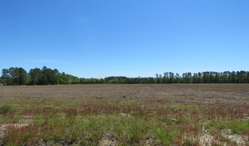Photo of UNDER CONTRACT!  76 Acres of Farm and Timber Land For Sale in Robeson County NC!
