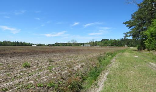 Photo of UNDER CONTRACT!  76 Acres of Farm and Timber Land For Sale in Robeson County NC!