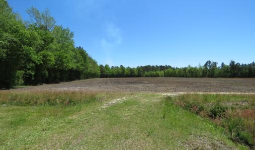 Photo of UNDER CONTRACT!  76 Acres of Farm and Timber Land For Sale in Robeson County NC!