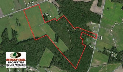 Photo of UNDER CONTRACT!  76 Acres of Farm and Timber Land For Sale in Robeson County NC!