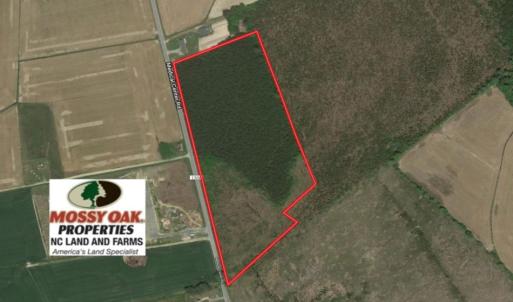 Photo of UNDER CONTRACT!  16.6 Acres of Hunting and Timber Land for Sale in Gates County NC!