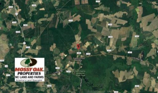 Photo of UNDER CONTRACT!  16.6 Acres of Hunting and Timber Land for Sale in Gates County NC!