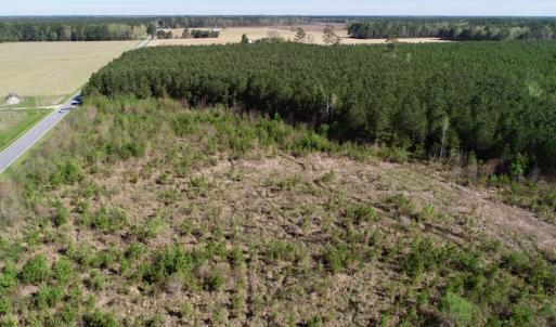 Photo of UNDER CONTRACT!  16.6 Acres of Hunting and Timber Land for Sale in Gates County NC!
