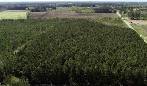 Photo of UNDER CONTRACT!  16.6 Acres of Hunting and Timber Land for Sale in Gates County NC!