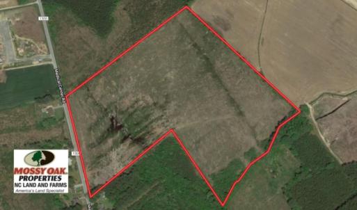 Photo of UNDER CONTRACT!  39 Acres of Hunting and Timber Land for Sale in Gates County NC!