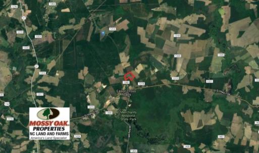 Photo of UNDER CONTRACT!  39 Acres of Hunting and Timber Land for Sale in Gates County NC!