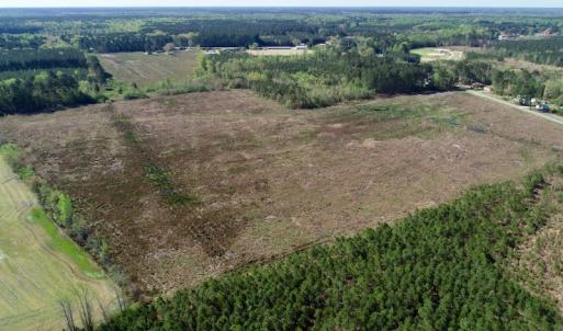 Photo of UNDER CONTRACT!  39 Acres of Hunting and Timber Land for Sale in Gates County NC!