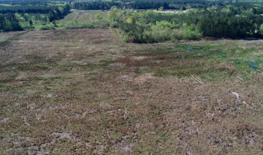 Photo of UNDER CONTRACT!  39 Acres of Hunting and Timber Land for Sale in Gates County NC!