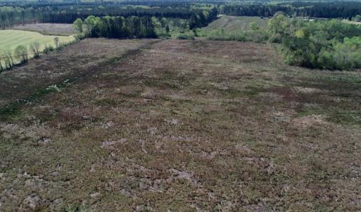 Photo of UNDER CONTRACT!  39 Acres of Hunting and Timber Land for Sale in Gates County NC!