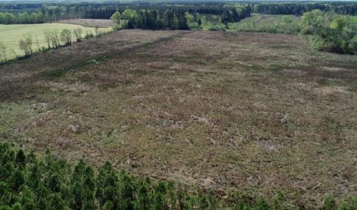Photo of UNDER CONTRACT!  39 Acres of Hunting and Timber Land for Sale in Gates County NC!