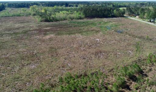 Photo of UNDER CONTRACT!  39 Acres of Hunting and Timber Land for Sale in Gates County NC!