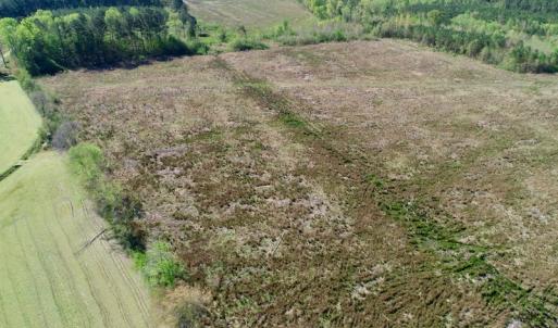 Photo of UNDER CONTRACT!  39 Acres of Hunting and Timber Land for Sale in Gates County NC!