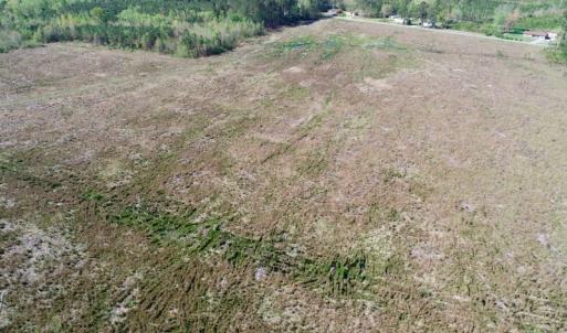 Photo of UNDER CONTRACT!  39 Acres of Hunting and Timber Land for Sale in Gates County NC!