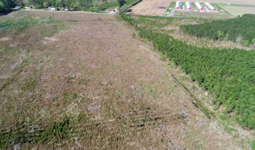 Photo of UNDER CONTRACT!  39 Acres of Hunting and Timber Land for Sale in Gates County NC!