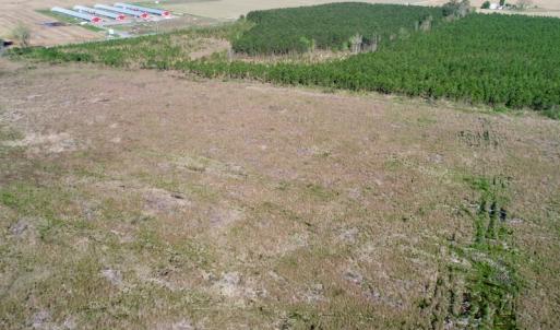 Photo of UNDER CONTRACT!  39 Acres of Hunting and Timber Land for Sale in Gates County NC!