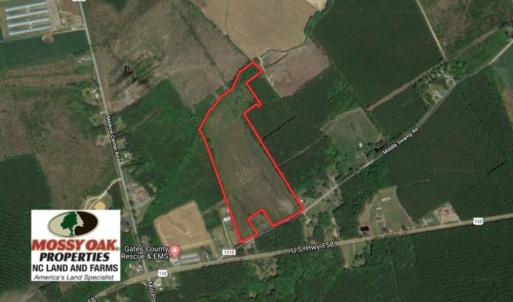Photo of UNDER CONTRACT!  23.35 Acres of Hunting and Timber Land for Sale in Gates County NC!
