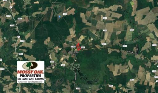 Photo of UNDER CONTRACT!  23.35 Acres of Hunting and Timber Land for Sale in Gates County NC!