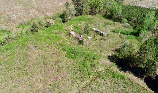 Photo of UNDER CONTRACT!  23.35 Acres of Hunting and Timber Land for Sale in Gates County NC!