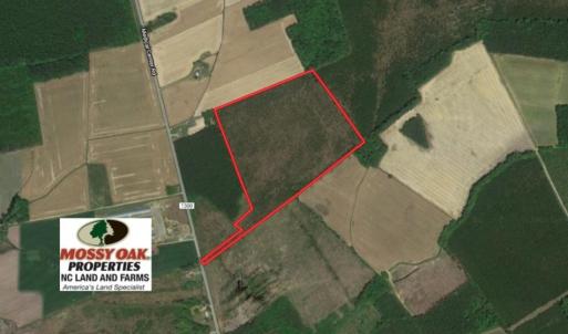 Photo of UNDER CONTRACT!  33.8 Acres of Hunting and Timber Land For Sale in Gates County NC!