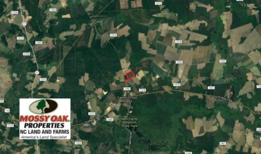 Photo of UNDER CONTRACT!  33.8 Acres of Hunting and Timber Land For Sale in Gates County NC!