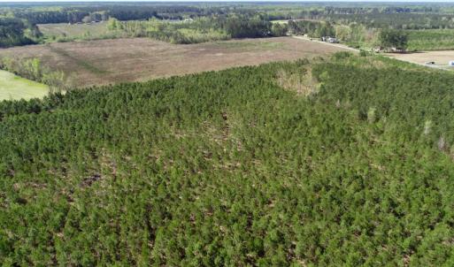 Photo of UNDER CONTRACT!  33.8 Acres of Hunting and Timber Land For Sale in Gates County NC!